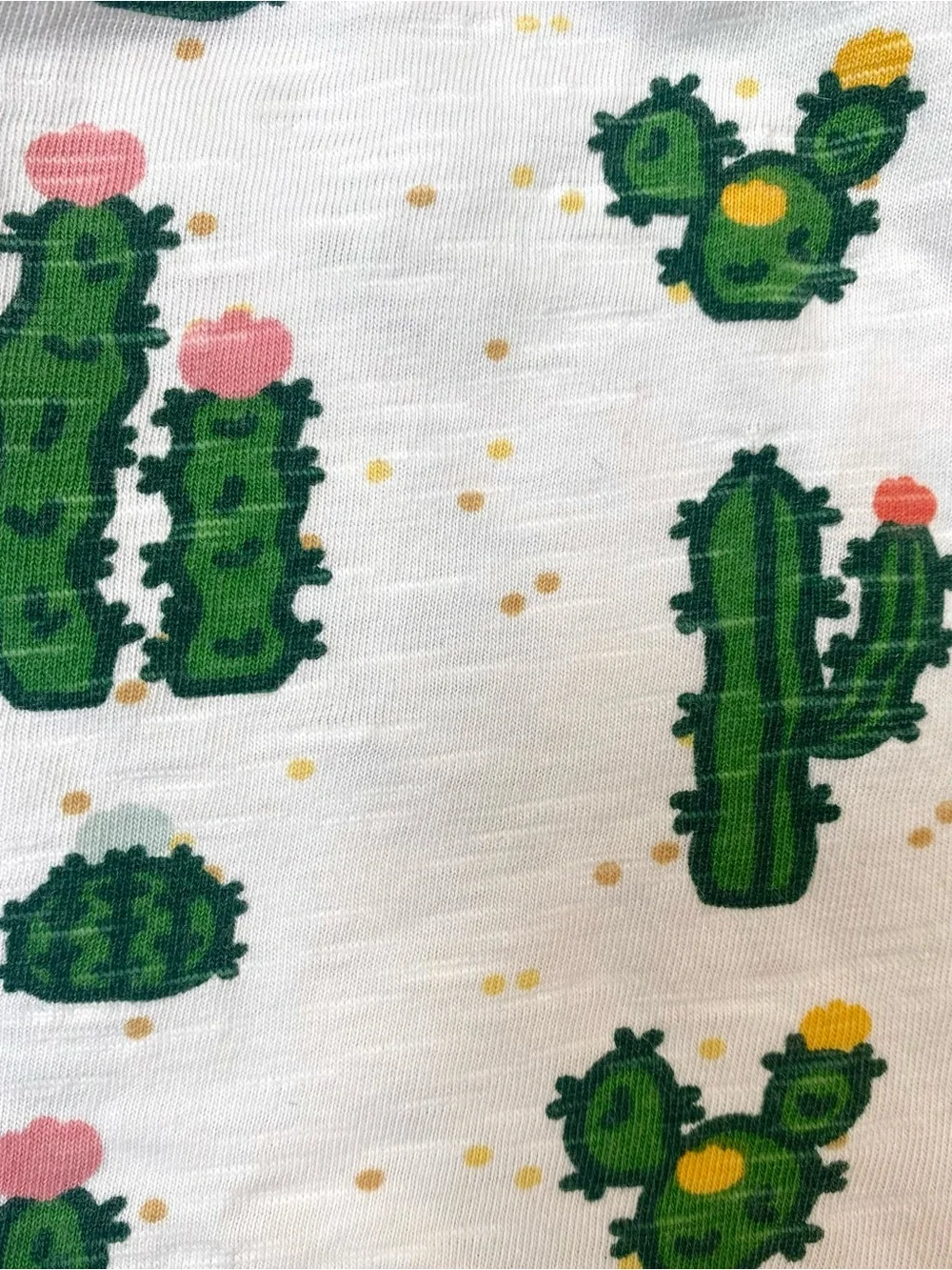 Monica + Andy Cactus Set + Primary Ombre Shorts Bundle 3T